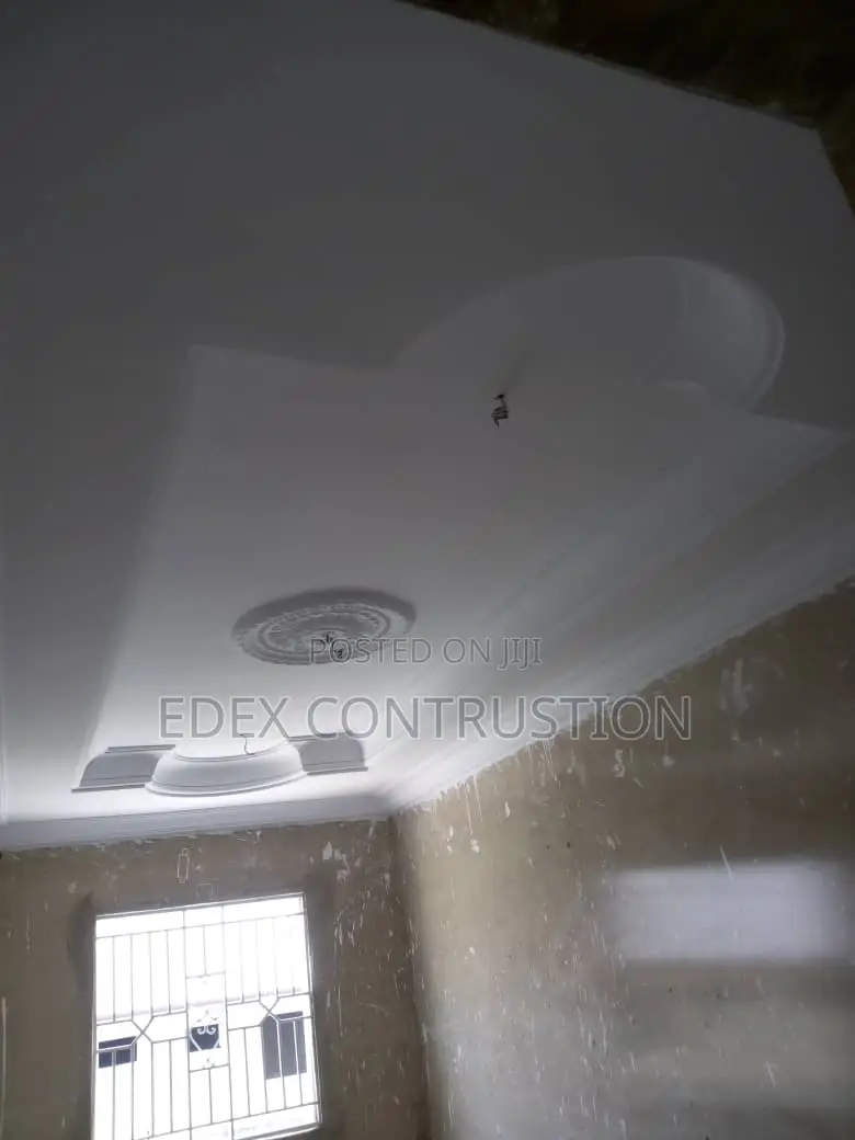 Pop Ceiling and Paint