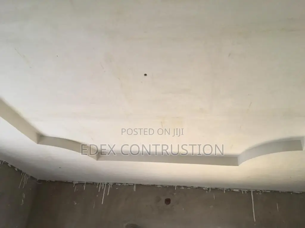 Pop Ceiling and Paint