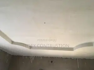 Pop Ceiling and Paint