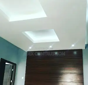 Pop Ceiling and Paint