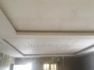 Painting,Pop Ceiling