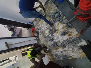 Carpet/ Rug Cleaning Services