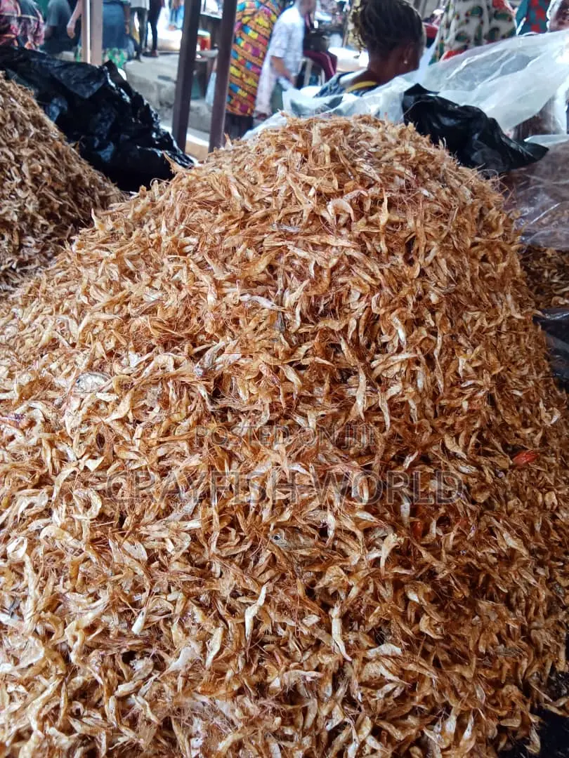 Sweet Oron First Class Crayfish From Zion