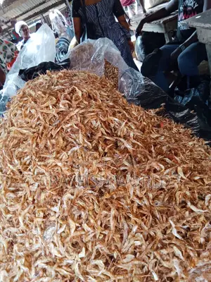 Sweet Oron First Class Crayfish From Zion