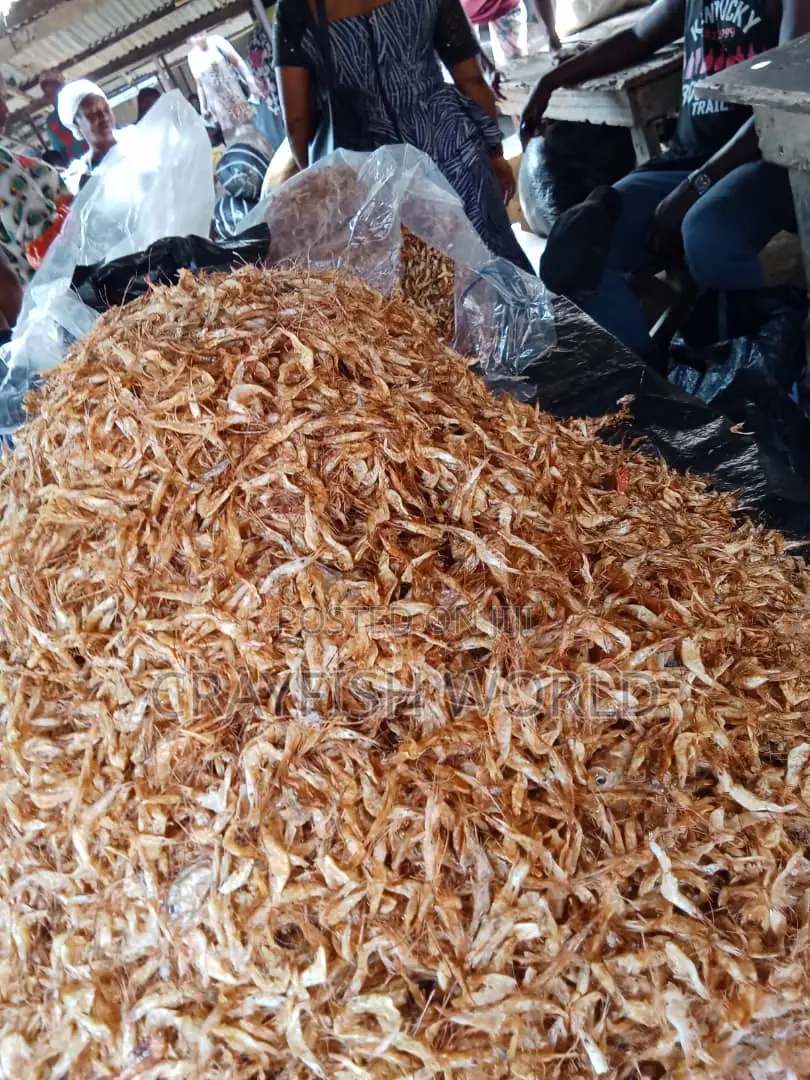 Sweet Oron First Class Crayfish From Zion