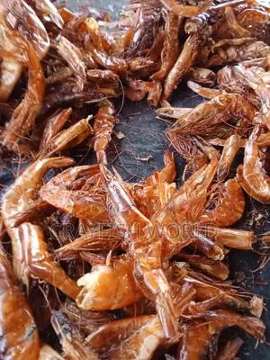 Sweet Oron First Class Crayfish From Zion