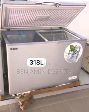 318 Liter Solar Deep Freezer