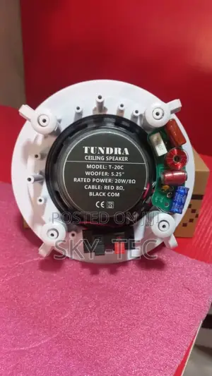 Original Tundra 20watts Ceiling Speaker Big Magnet