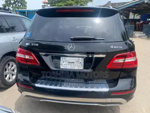 Mercedes-Benz M Class 2014 Black