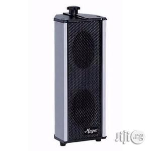 Mega Indian Column Speaker