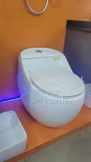 Egg Shape Executive Toilet
