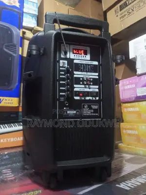 Quality 15 Inches Wireless Bluetooth Speaker System
