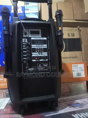 Durable 15" Bluetooth Wireless Speaker System