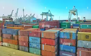 Clearing and Forwarding Service, (CUSTOM LICENCED AGENT)
