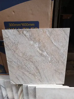 Quality Floor Tiles Both Indoor and Outdoor S