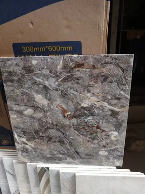 Quality Floor Tiles Both Indoor and Outdoor S