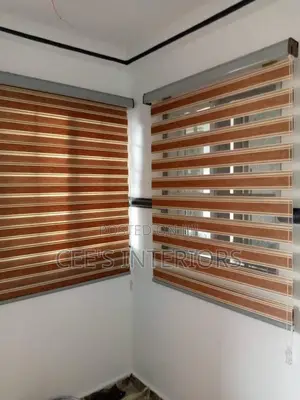 Day and Night Window Blinds