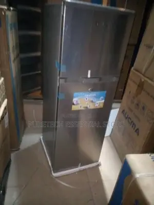 Skyrun BCD-138m Double Door Refrigerator