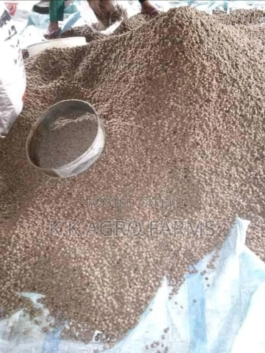 Quality Sinking Feed For Catfish