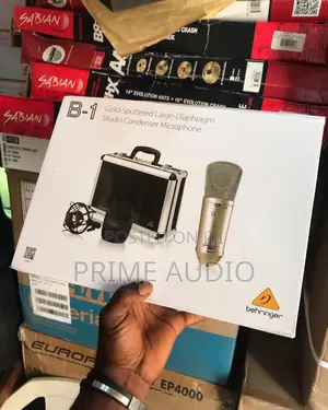 Beringer B1 Studio Condenser Microphone