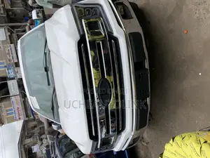 2010 F150 Upgraded to 2018 Kits Available as Seen