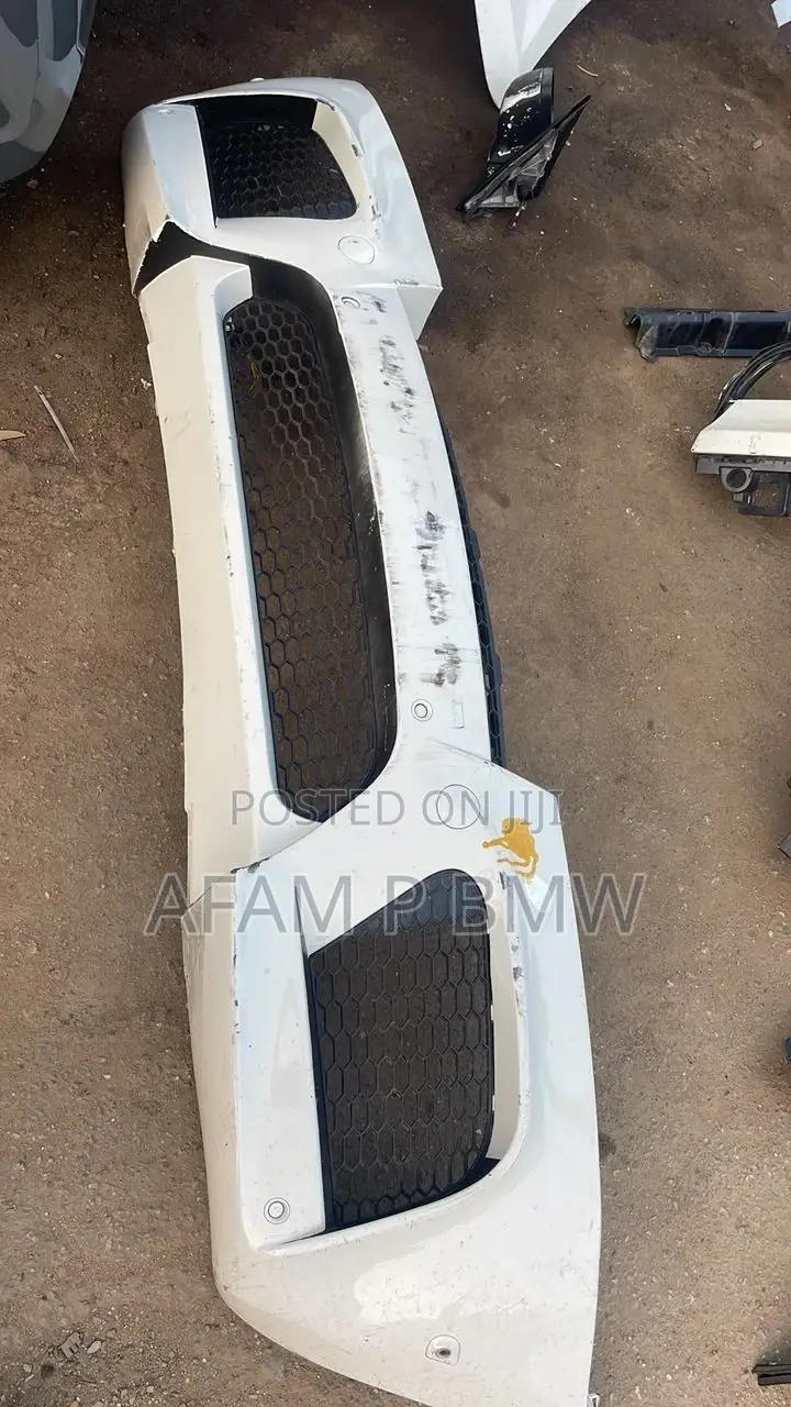 Front Bumper X6 2010