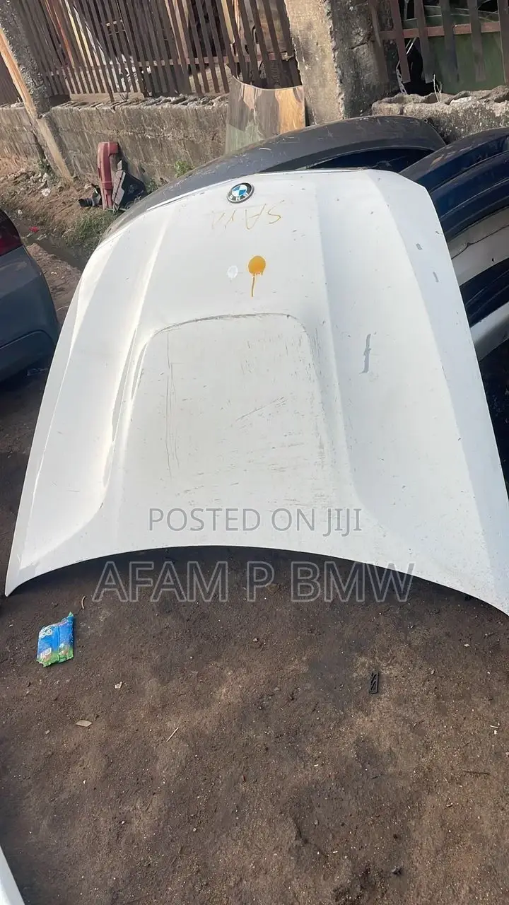 Front Bumper X6 2010