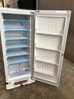 Lg Upright Standing Freezer