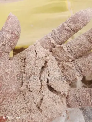 Quality Rice Bran