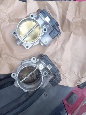 Cadillac CTS Throttle Body/Injector Mouth