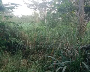 400,000 Acres of Agricultural Land for Sale at Lagbedu