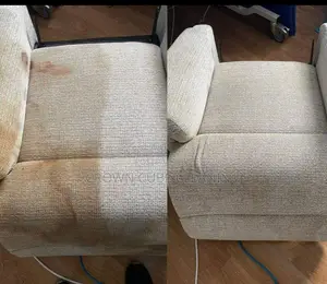 Professional Upholstery Cleaning _ Chair Cleaning Services