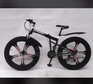 Photo - Alloyed Rim Bicycle A341