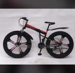 Photo - Hero Alloyed Rim Bicycle A221