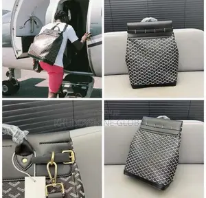 Goyard Luxury Back Bag