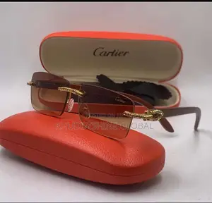 Vintage Classy Designer Glasses With Case