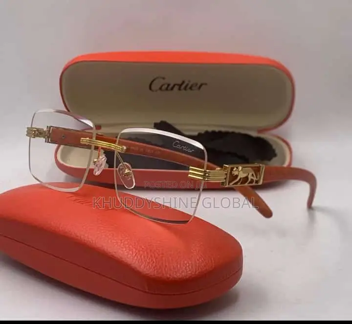 Vintage Classy Designer Glasses With Case