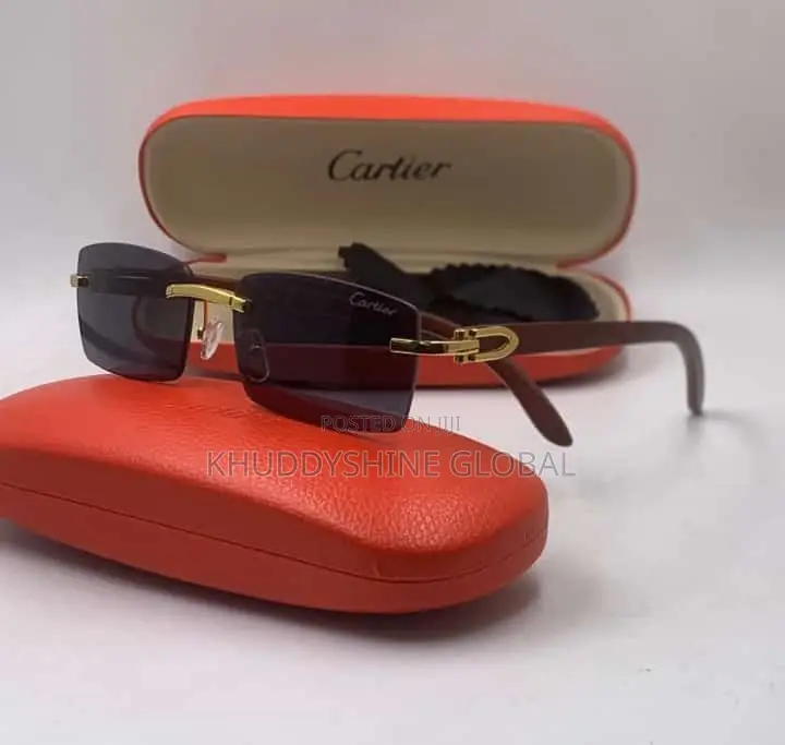 Vintage Classy Designer Glasses With Case