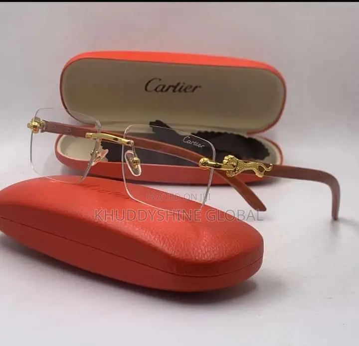 Vintage Classy Designer Glasses With Case
