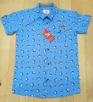 Boys Shirt