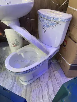 Blue Design WC With Basin and Pedestal