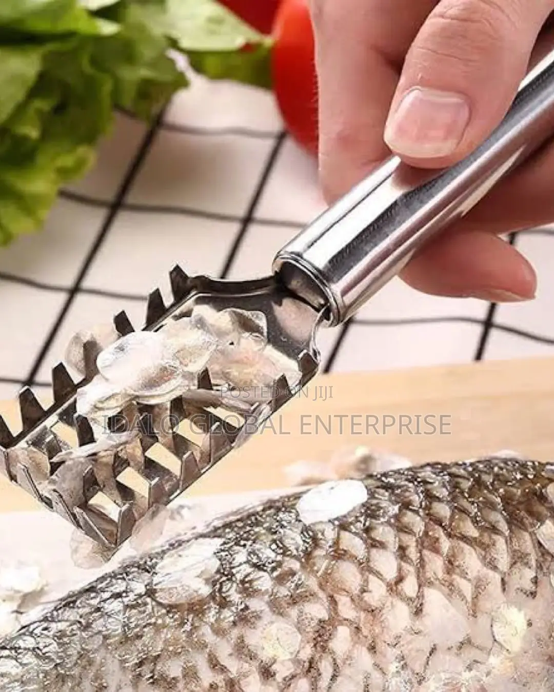 Stainless Fish Scrapper