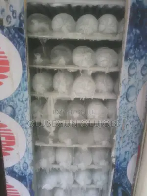 Ice Block Factory In Akowonjo Egbeda