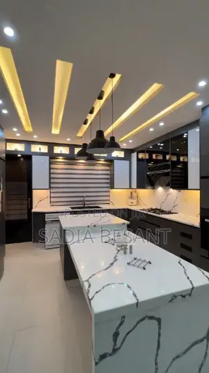 Contemporary Kitchen Cabinets