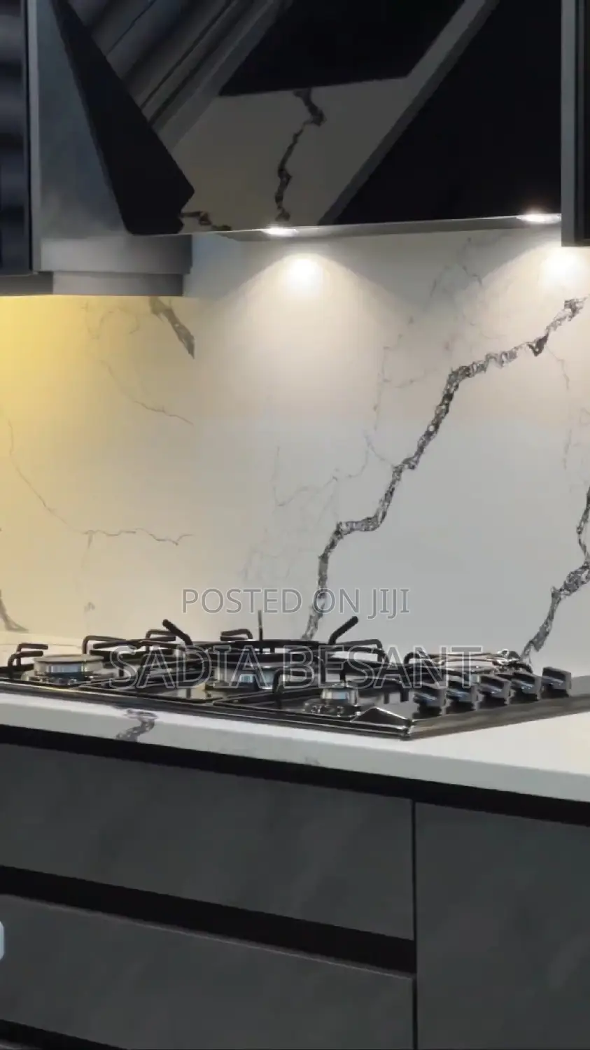 Contemporary Kitchen Cabinets