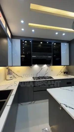 Contemporary Kitchen Cabinets