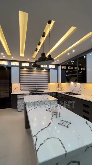 Contemporary Kitchen Cabinets