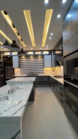 Contemporary Kitchen Cabinets