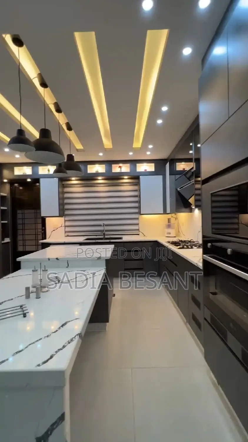 Contemporary Kitchen Cabinets