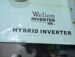 Welion 6.2kva 48v Hibrid Inverter